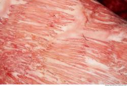 Photo Textures of RAW Pork Meat